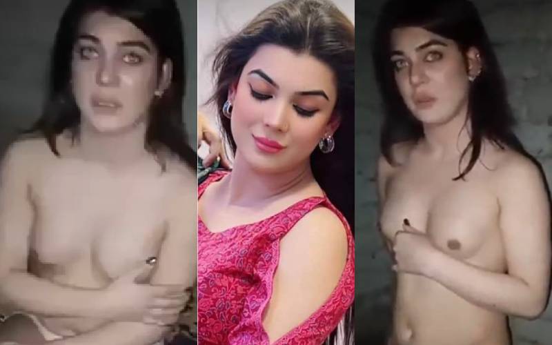 Dolphin Ayan Viral Video